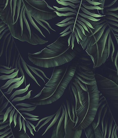 Bladeren behang Vibrant Jungle Harmony, afwasbaar