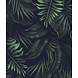 Vibrant Jungle Harmony Vibrant Jungle Harmony
