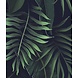 Vibrant Jungle Harmony Vibrant Jungle Harmony