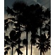 Twilight Tropicana Twilight Tropicana