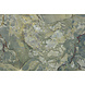 Elegant Green Marble Elegant Green Marble