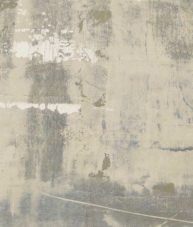 Beton behang Absolute Concrete, afwasbaar