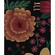 Blossom Burst Blossom Burst