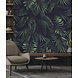 Vibrant Jungle Harmony Vibrant Jungle Harmony