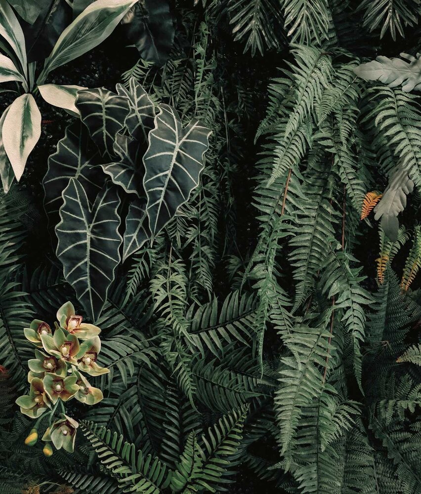 Bladeren behang Cascading Garden, groen, afwasbaar Bladeren behang Cascading Garden, groen, afwasbaar