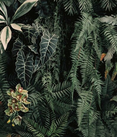 Bladeren behang Cascading Garden, groen, afwasbaar Bladeren behang Cascading Garden, groen, afwasbaar