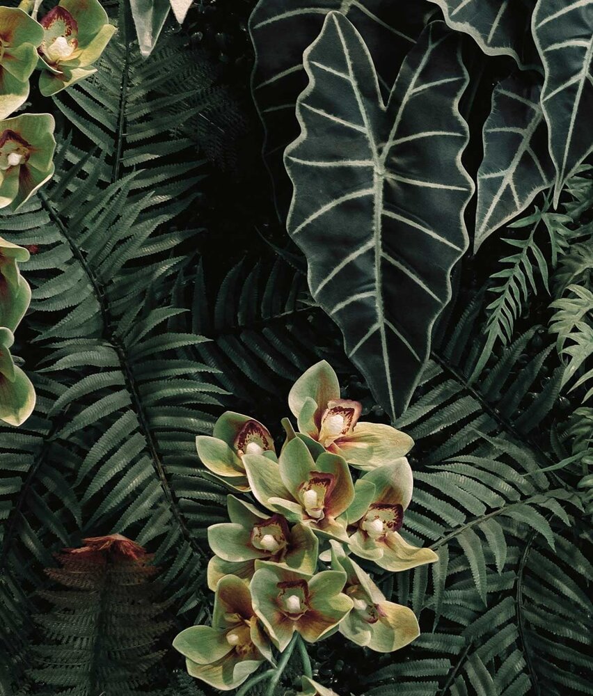 Blättertapete Cascading Garden, grün, waschbar Blättertapete Cascading Garden, grün, waschbar