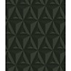 Geometric Illusions Geometric Illusions