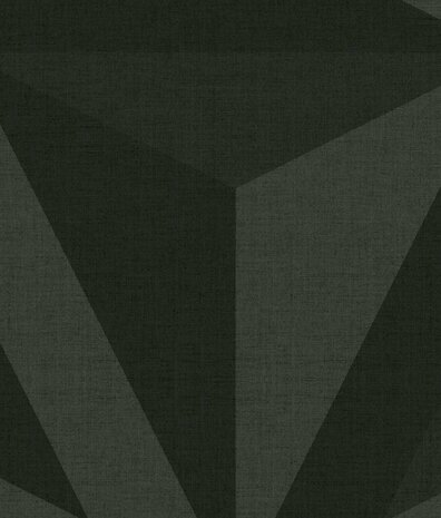 Graphic wallpaper Geometric Illusions, black, washable