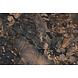 Marbled Copper Glow Marbled Copper Glow
