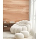 Luminous Timber Luminous Timber