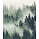 Mystical Grove Mystical Grove