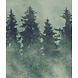 Mystical Grove Mystical Grove