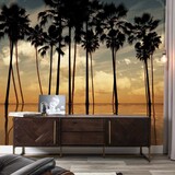 Palm behang Twilight Tropicana, afwasbaar Palm behang Twilight Tropicana, afwasbaar