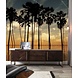 Twilight Tropicana Twilight Tropicana