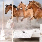 Pferdetapete Speedy Stallions, waschbar Pferdetapete Speedy Stallions, waschbar