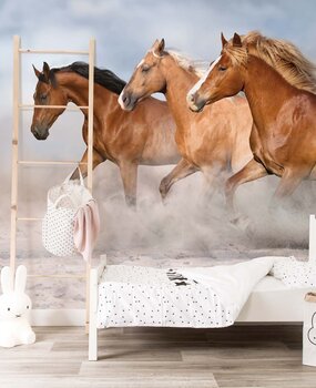Paarden behang Speedy Stallions, afwasbaar Paarden behang Speedy Stallions, afwasbaar