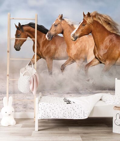 Horse wallpaper Speedy Stallions, washable Horse wallpaper Speedy Stallions, washable