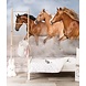 Speedy Stallions Speedy Stallions