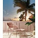 Palm Paradise Palm Paradise