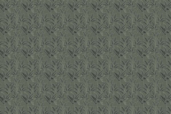 Bladeren behang Banana Breeze, groen, afwasbaar Bladeren behang Banana Breeze, groen, afwasbaar