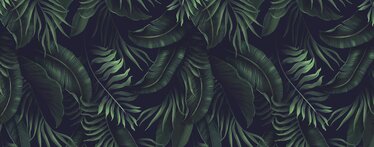 Tropical wallpaper