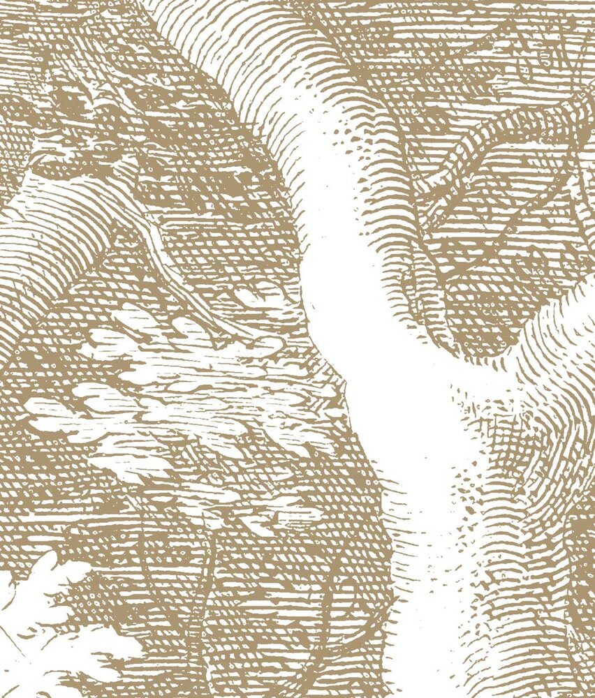 Vintage behang Landscape Engravings, beige, afwasbaar Vintage behang Landscape Engravings, beige, afwasbaar