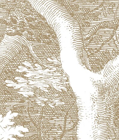 Vintage behang Landscape Engravings, beige, afwasbaar Vintage behang Landscape Engravings, beige, afwasbaar