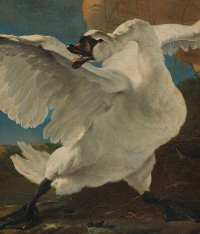 Wallpaper old masters Threatened Swan, washable
