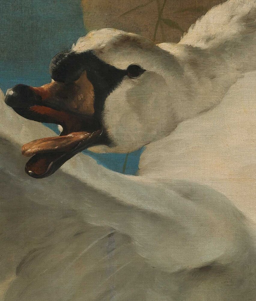Wallpaper old masters Threatened Swan, washable