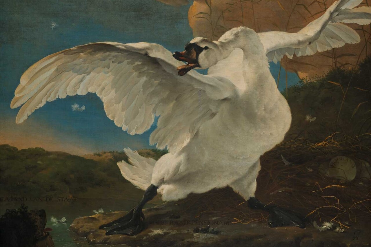 Wallpaper old masters Threatened Swan, washable