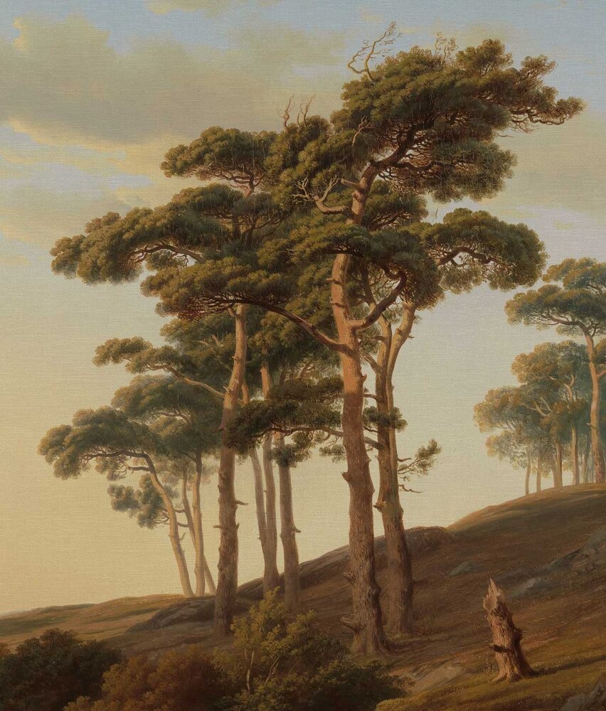 Landschaftstapete Serene Skyline Scenery, waschbar Landschaftstapete Serene Skyline Scenery, waschbar