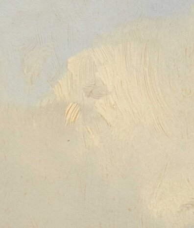 Wolkentapete Morning Sky, blau, waschbar Wolkentapete Morning Sky, blau, waschbar