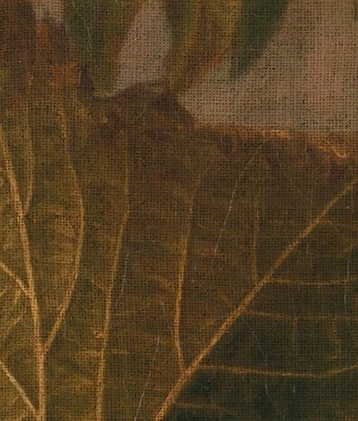 Vintage bloemen behang Delicate Flowers, afwasbaar