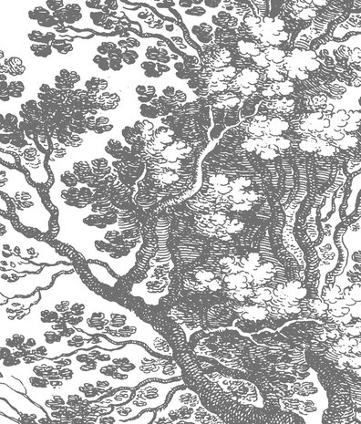 Landscapes wallpaper Whispering Forest, washable Landscapes wallpaper Whispering Forest, washable