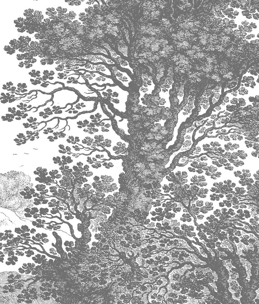 Landscapes wallpaper Whispering Forest, washable Landscapes wallpaper Whispering Forest, washable