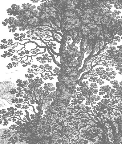 Landscapes wallpaper Whispering Forest, washable Landscapes wallpaper Whispering Forest, washable