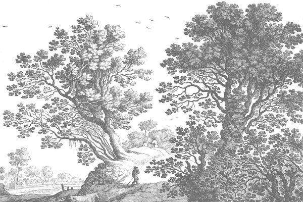 Landschaftstapete Whispering Forest, waschbar Landschaftstapete Whispering Forest, waschbar