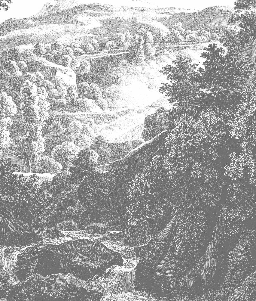 Bossen behang Shadowed Enigma Forest, afwasbaar