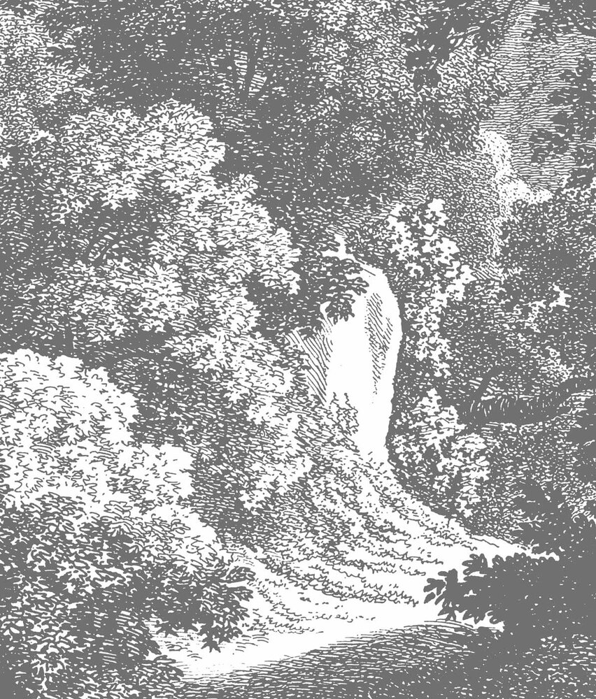 Bossen behang Shadowed Enigma Forest, afwasbaar