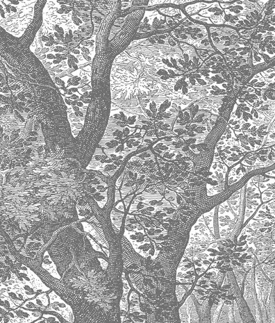 Wallpaper forest Enchanted Grove, black & white, washable Wallpaper forest Enchanted Grove, black & white, washable