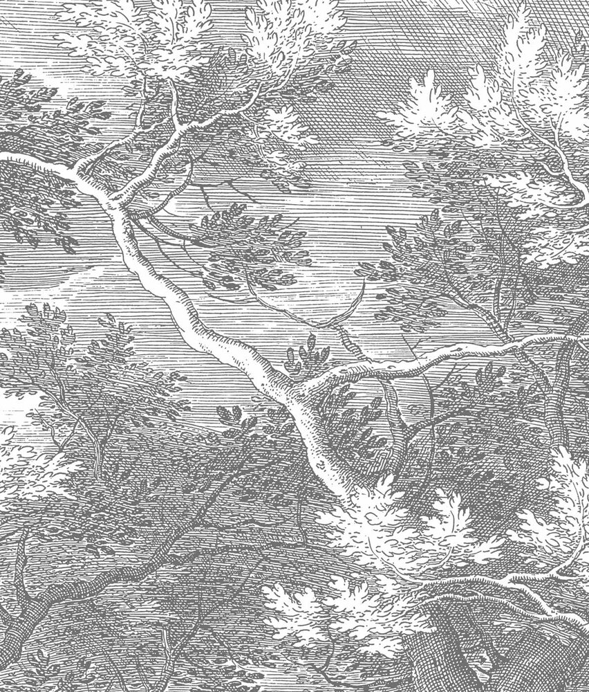 Behang bos Mystic Forest, zwart-wit, afwasbaar