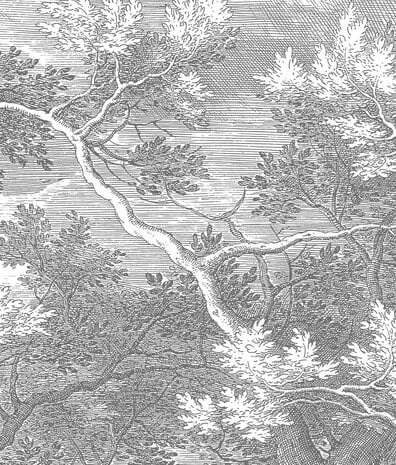Wallpaper forest Mystic Forest, black & white, washable Wallpaper forest Mystic Forest, black & white, washable