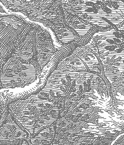 Tapetenwald Mystic Forest, schwarz-weiß, waschbar