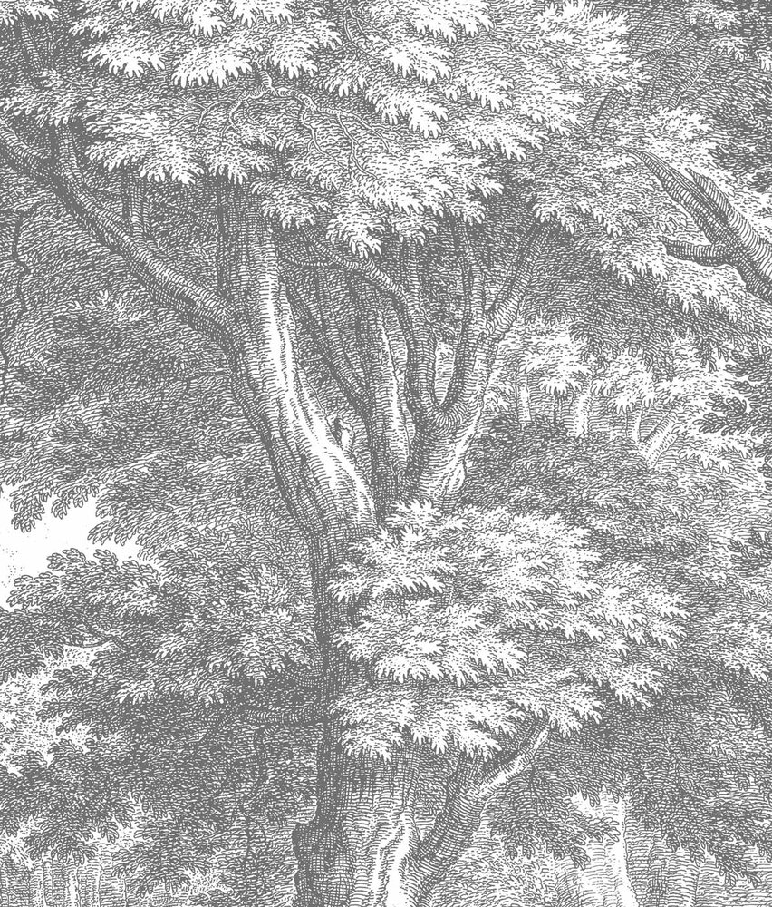 Landscapes wallpaper Whispering Woods, washable Landscapes wallpaper Whispering Woods, washable