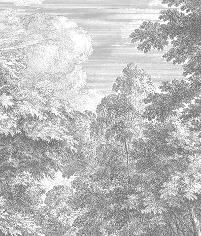 Landschaftstapete Whispering Woods, waschbar Landschaftstapete Whispering Woods, waschbar