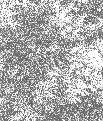 Landschappen behang Whispering Woods, afwasbaar Landschappen behang Whispering Woods, afwasbaar