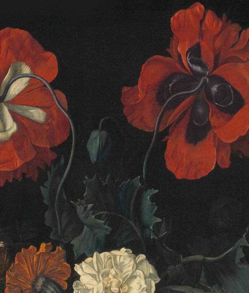 Bloemen behang Poppy Fields Bliss, zwart, afwasbaar Bloemen behang Poppy Fields Bliss, zwart, afwasbaar