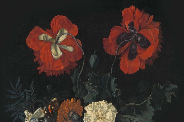 Bloemen behang Poppy Fields Bliss, zwart, afwasbaar Bloemen behang Poppy Fields Bliss, zwart, afwasbaar