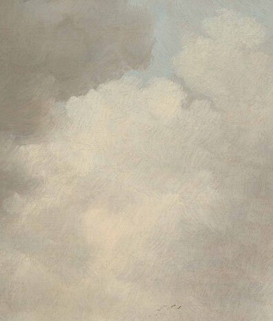 Wolken behang Cloudscape Dreams, grijs, afwasbaar